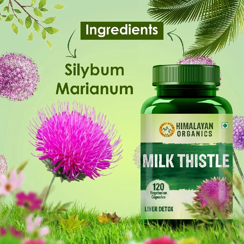 HIMALAYAN ORGANICS Milk Thistle Extract With 800Mg Of Silybum Marianum Detox Supplement For Men And Women For Healthy Liver, 120 Capsules-7.webp